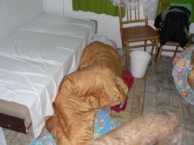 Obrázek