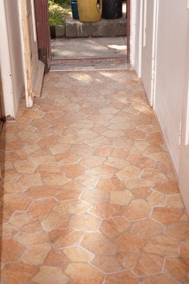 INGP1350.jpg