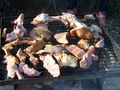 100_6564.JPG