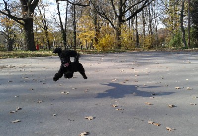 Matýskova letecká procházka ...