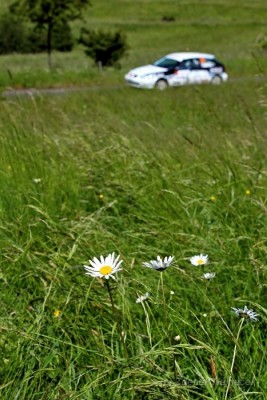 IMG_7963.JPG