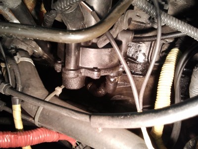 20150407_082032.jpg