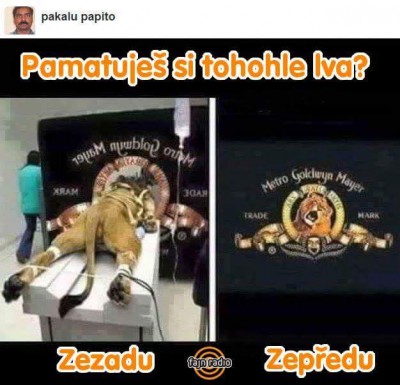 FB_IMG_1439380312244.jpg
