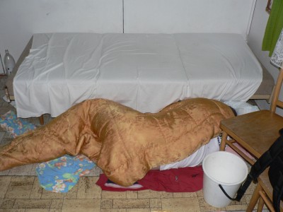 bobankřivonoska.JPG