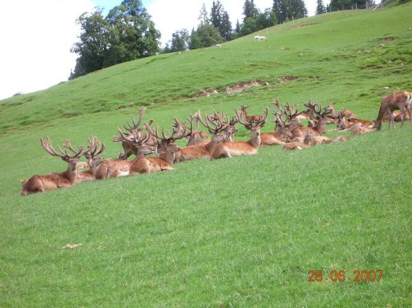 Pro Focus  forum 073.jpg