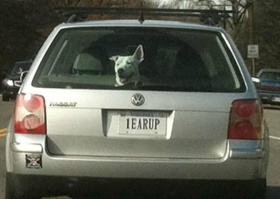 1earup SPZ.png