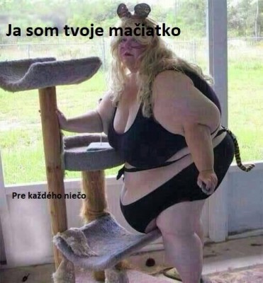 kočička.jpg