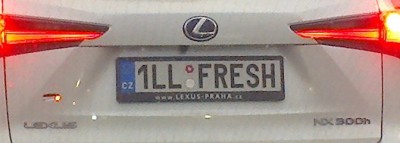 rz_1llfresh.jpg