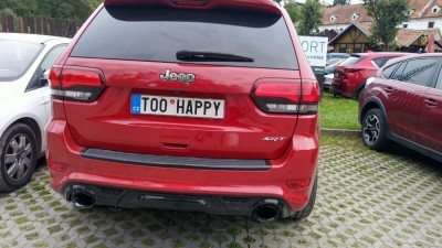 TOOHAPPY.jpeg