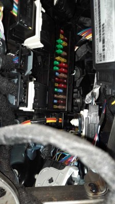 20210413_143546 (Střední).jpg