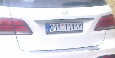 rz_0111111Y.jpg