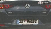 rz_387vanes.jpg