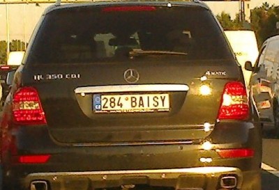 rz_284baisy.jpg