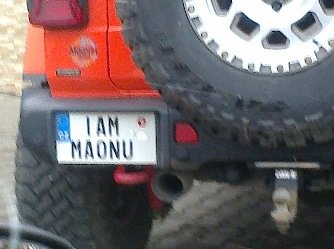 rz_iamma0nu.jpg