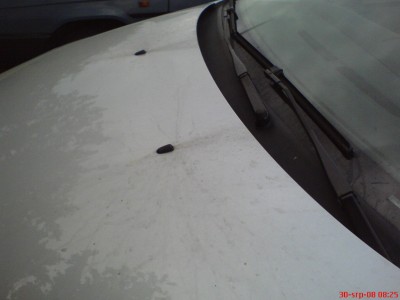 zapatlana kapota.JPG