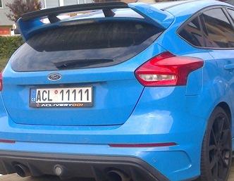 rz_acl11111.jpg
