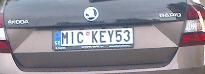 rz_mickey53.jpg