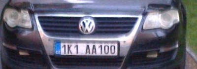 rz_1k1aa100.jpg
