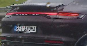 rz_971anura.jpg