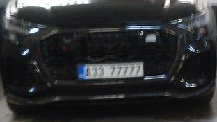 rz_a3377777.jpg