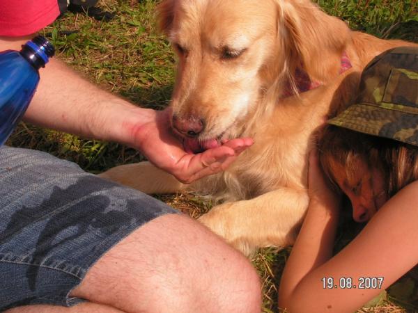 občerstvit se museli i naši 4 nozí přátelé a mazlíčci...