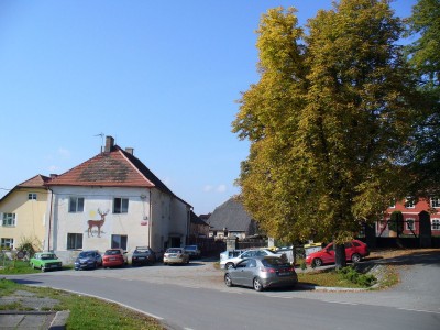 P1040984-web.jpg