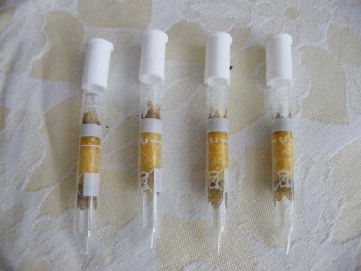 zleva: bb,Wolf2,Joose,Skubi