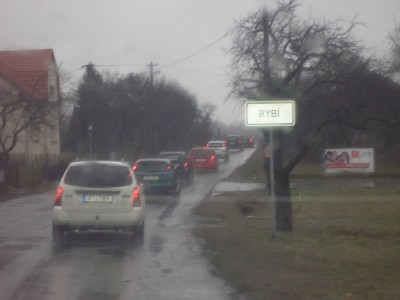Rybí