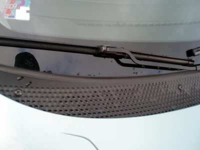 Plast.jpg