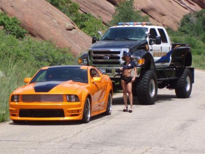 custom_mustang_f650.jpg