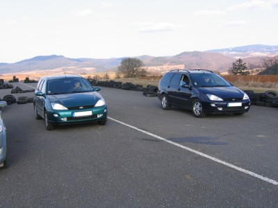 canndale vs foxo