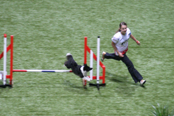img_8916.jpg