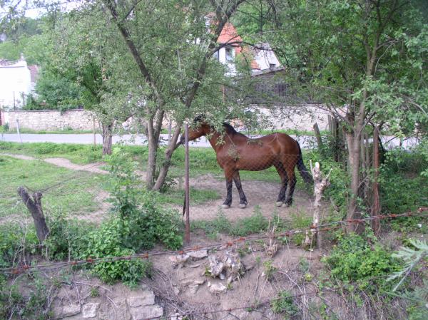 Srbsko září 07