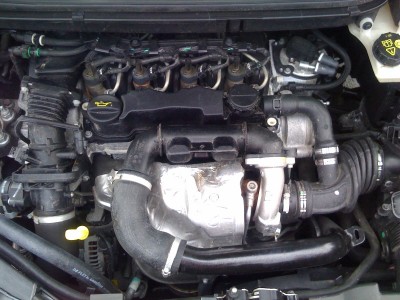 photo3.jpg