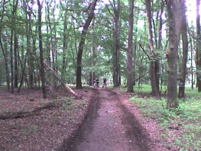 DSC00178.JPG