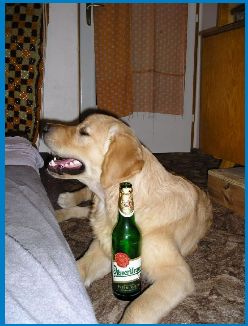 Atys ma vkus a chlasta pouze znacku ;-)