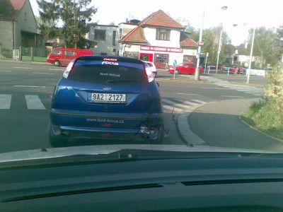 modry fesak