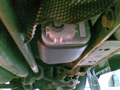 31052010.jpg