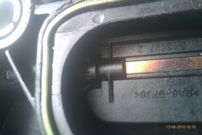 IMAG0250.jpg