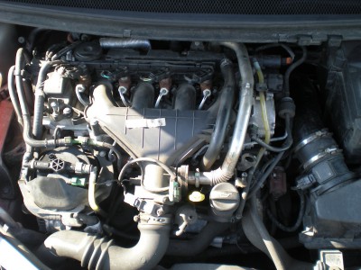 DSCN4186.JPG