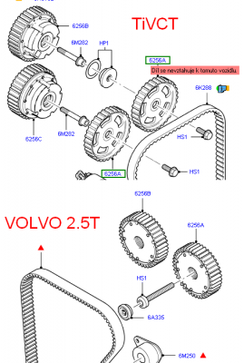 VCT.PNG